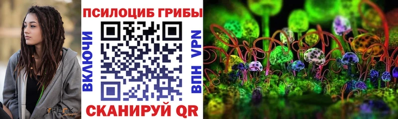 Галлюциногенные грибы MAGIC MUSHROOMS  Городец 