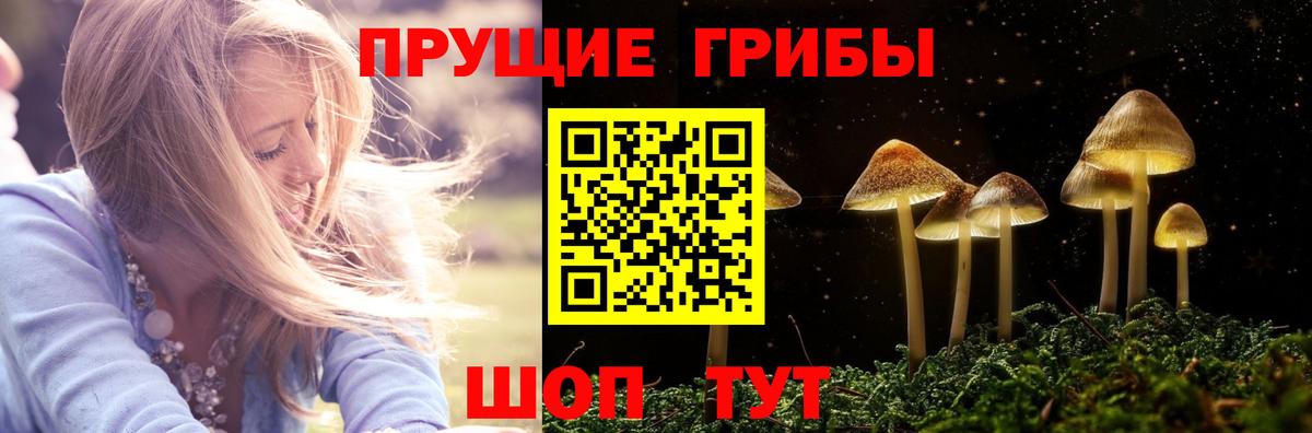 Псилоцибиновые грибы ЛСД  Вход с VPN  Городец 