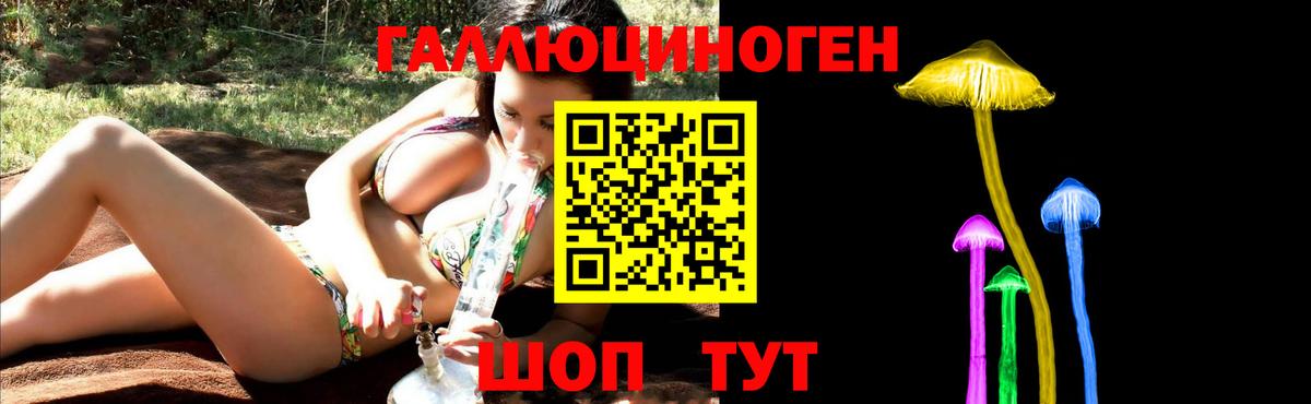Псилоцибиновые грибы прущие грибы Городец