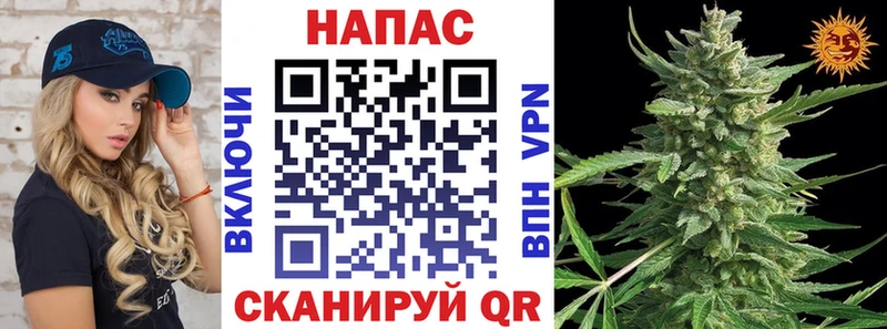 МАРИХУАНА Amnesia  Городец 